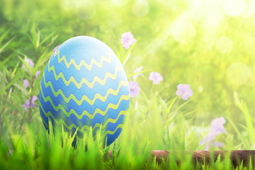 Colorful easter egg on green grass