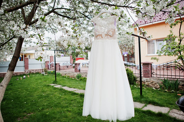 Wedding white dress hanging on the blossoming tree outdoors.