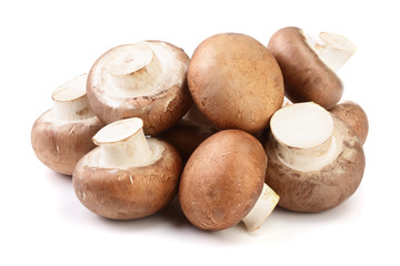 Royal Brown champignon isolated on white background