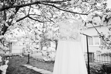 Wedding white dress hanging on the blossoming tree outdoors.