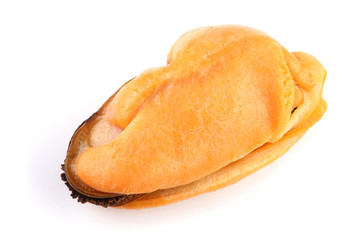 One mussel without shell isolated on white background