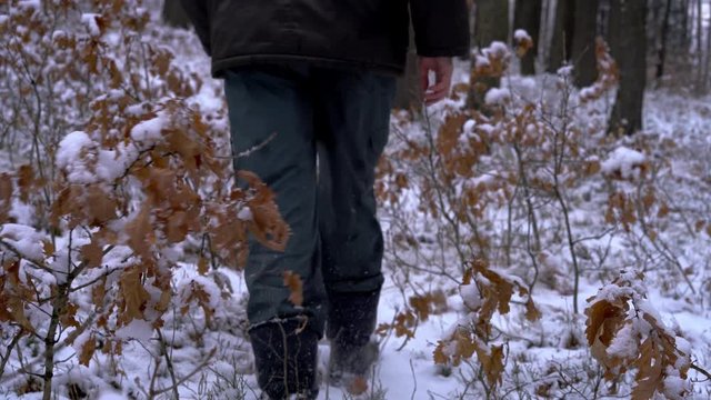 Man touches snowy branches and goes in the forest - (4K)