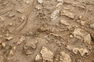Texture of a stone road