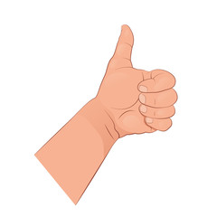 Thumb up. The gesture of the hand showing like. Vector illustration isolated on white background.