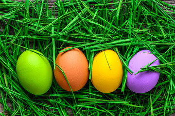 Colorful painted eggs, easter background with eggs in green grass nest