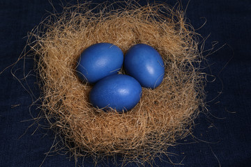 Easter eggs. Three blue eggs on the nest for Easter celebration.