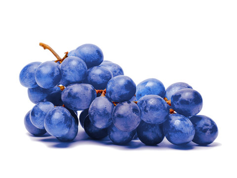 Blue grape. Bunch of fresh berries isolated on white background