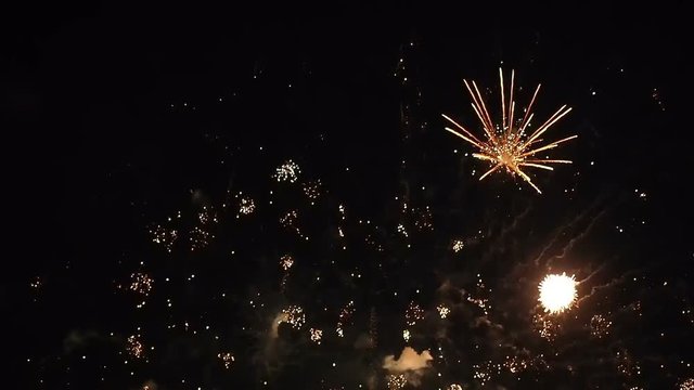 night firework celebration footage