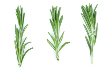 Fresh green rosemary isolated on a white background. Top view. Flat lay