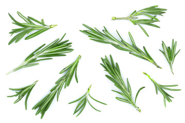 Fototapeta premium Fresh green rosemary isolated on a white background. Top view. Flat lay