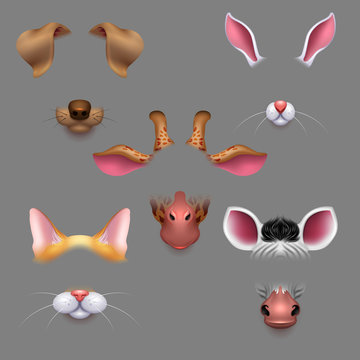 Animal ears and noses. Vector selfie photo filters animals faces masks