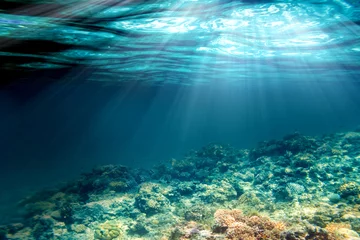  underwater © vovan