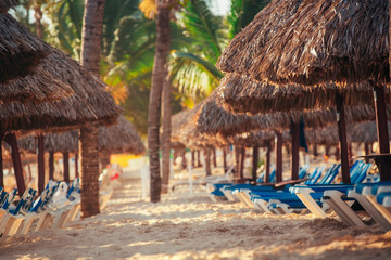 Tropical Beach Resort in Punta Cana, Dominican Republic