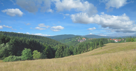 Fototapeta na wymiar Panorama mit der Bergstadt Sankt Andreasberg im Harz nahe Goslar und Braunlage,Niedersachsen,Deutschland 