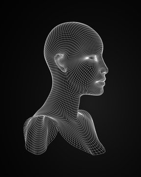 3d head wireframe vector. Drawing of wireframe head 3d model. Vector illustration.