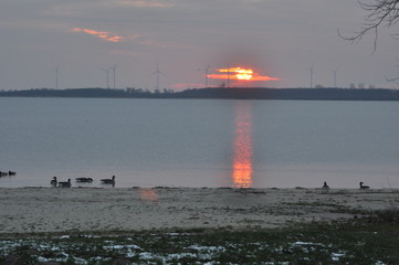 Ausblick auf den Dümmer bei Sonnenuntergang