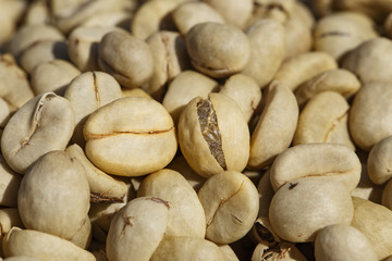 Coffee beans with parchment skin, after the pulp and outer skin were removed