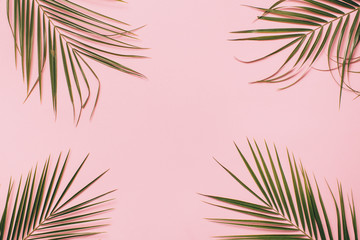 Palm leaves on a pink background. Minimal and flat lay.