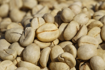 Coffee beans with parchment skin, after the pulp and outer skin were removed
