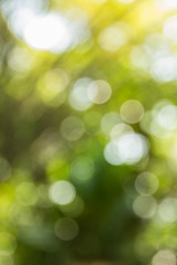 Abstract bokeh and blurred colorful nature background
