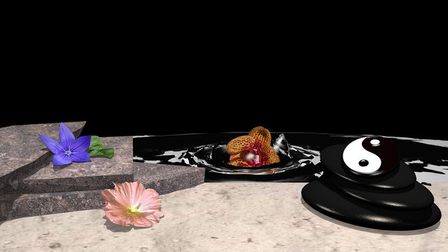 verschiedene Blumen, Steinhaufen aus Bimsstein, yin und yang Symbol und eine Orchidee die im Wasser versinkt vor schwarzem Hintergrund. 3d render