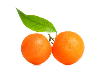 Two mandarines with a leaf