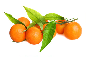 mandarines with leaves