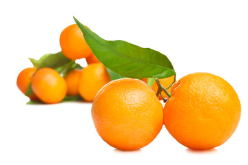 mandarines with leaves