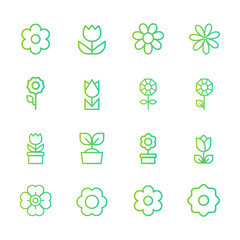 Set of flower line icons. Color Vector Illustration, flat design. 