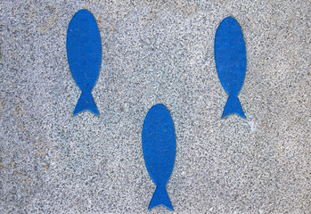 Concarneau. Indication de circuit touristique au sol, Finistère. Bretagne