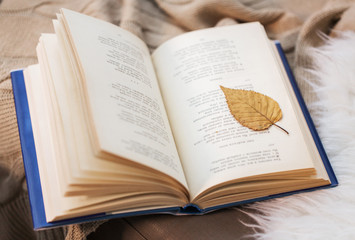 book with autumn leaf on blanket at home