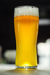 Tall glass of light beer in a brewery