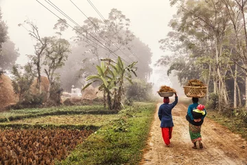 Fototapete Nepal Neblige ländliche Szene, Terai, Nepal