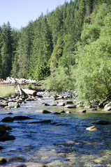 Górski strumyk - Dolina Chochołowska © Krzysztof