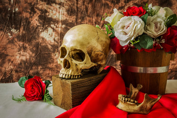 Still life with human skull with red rose and white rose