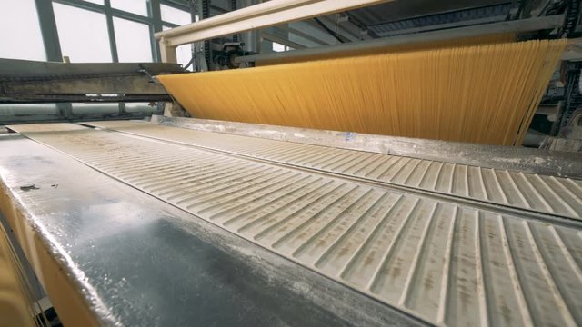 Vermicelli is moving on a flight conveyer and on a belt.