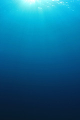 Underwater background in ocean 