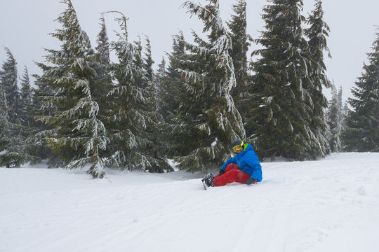 Tired snowboarder relaxes,sits amidst huge snow-covered fir trees