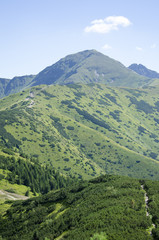 Fototapeta premium Dolina Chochołowska