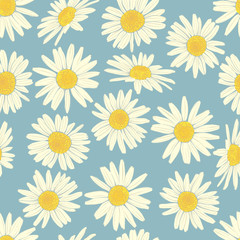Floral seamless pattern with camomile.