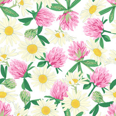 Floral seamless pattern with red clover and camomile.