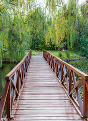 Fototapeta premium Small wooden bridge, picnic table and benches in the park. Outdoor rest place