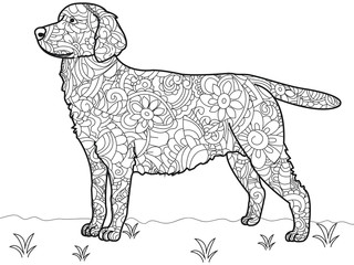 Dog Labrador Antistress Coloring Book. Vector