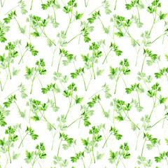 Fototapeta na wymiar Seamless pattern with green branches of parsley or cilantro on white background