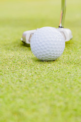 ゴルフ場のグリーンとボール