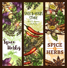 Vector sketch spices and herbs store banners