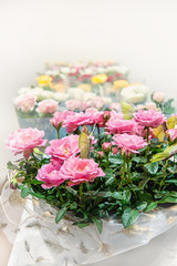 Multi-colored roses in the store are sold as a gift in a package. The farmer's market.