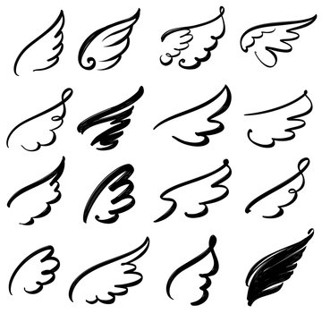 Fototapeta Wings icon sketch collection cartoon hand drawn vector illustration sketch