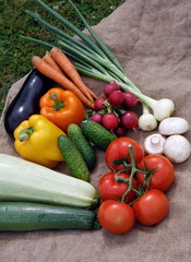 various fresh vegetables