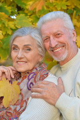 beautiful caucasian senior couple   in the park 